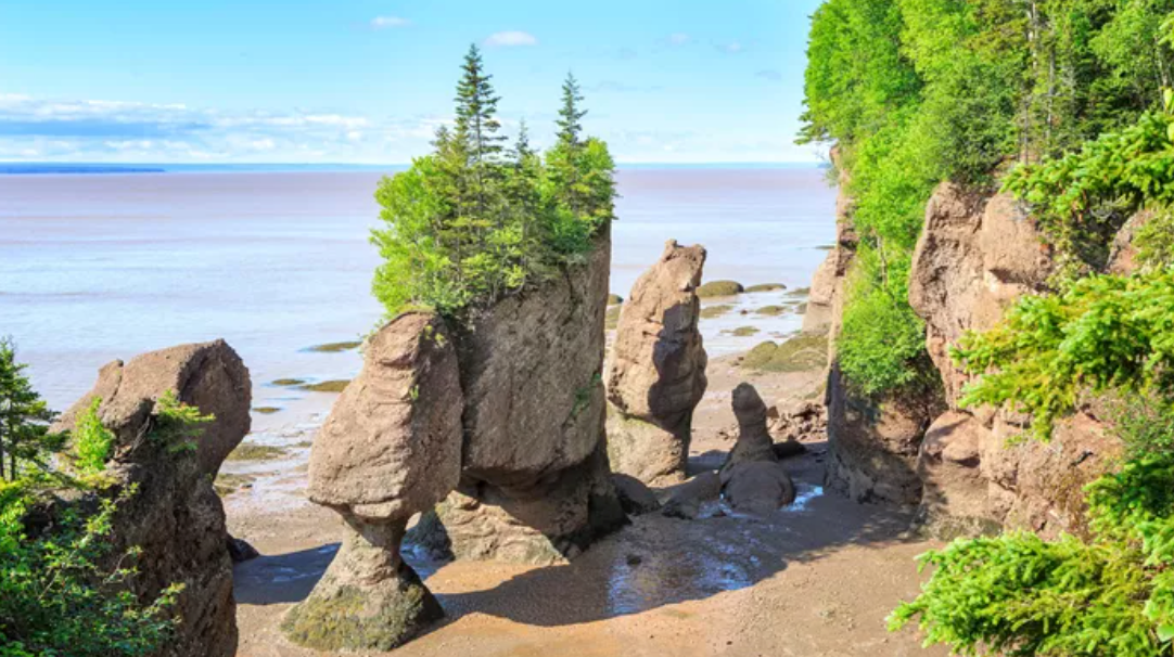 Experience the MajestyCanada's Coastline During a 12-Day Guided Tour