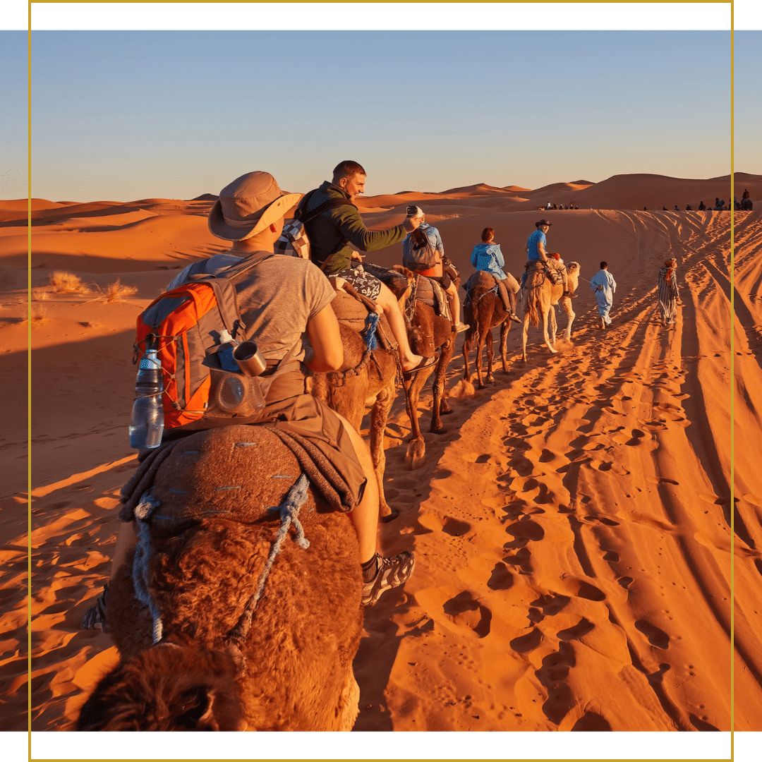 Group Travel